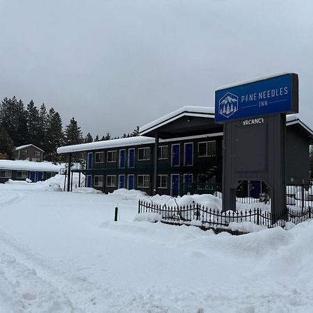 Pine Needles Inn Mount Shasta Buitenkant foto